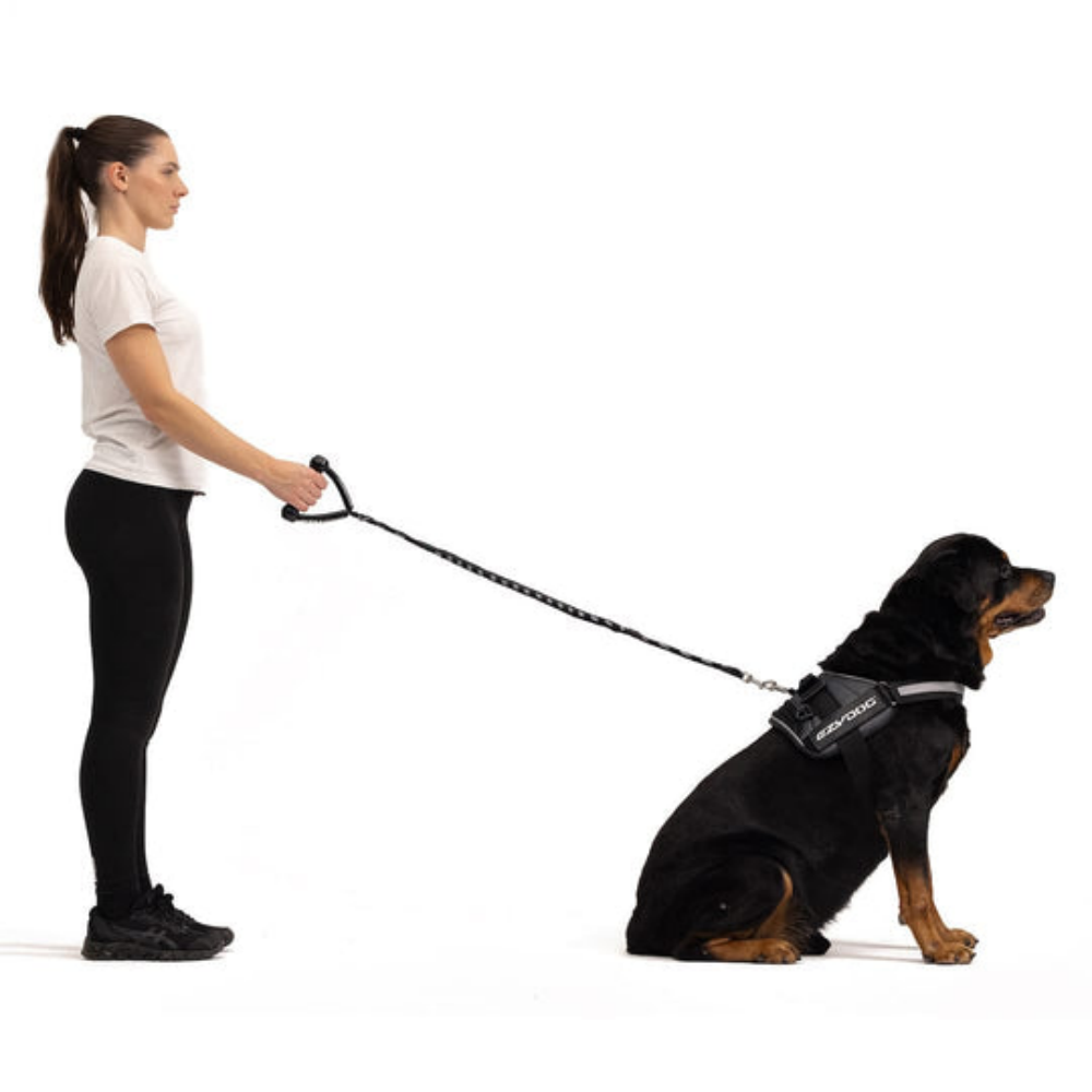08400Leash Cujo 40"Pink 101.5Cm