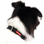EzyDog COLLOR CHECKMATE M BLACK