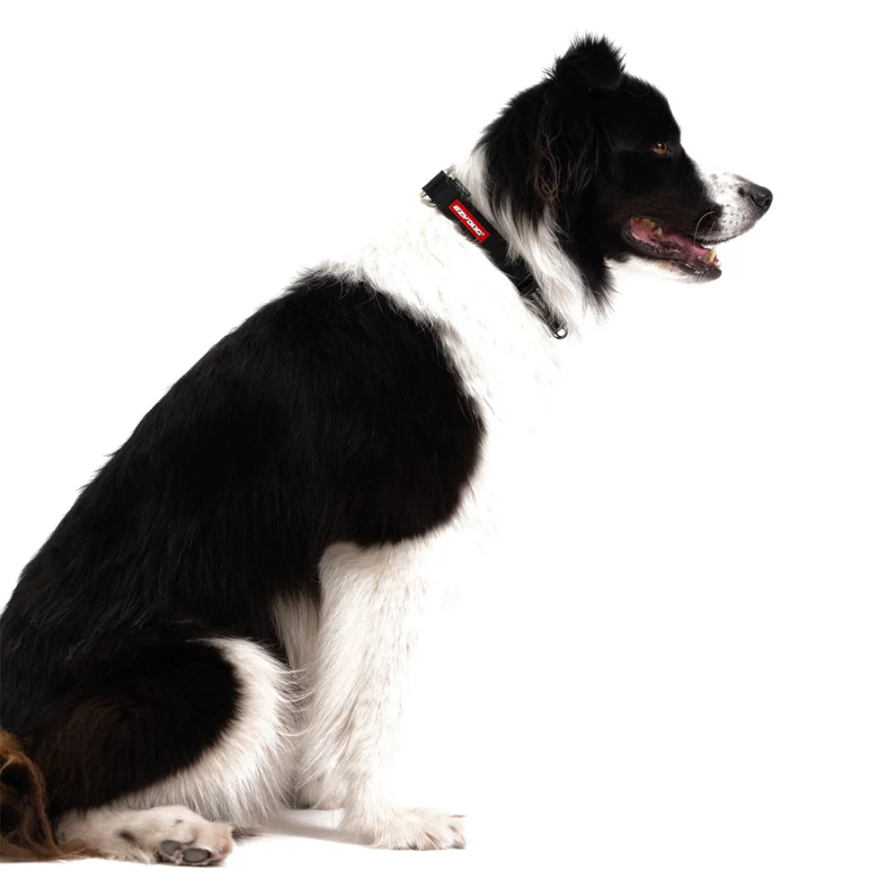 EzyDog COLLOR CHECKMATE M BLACK