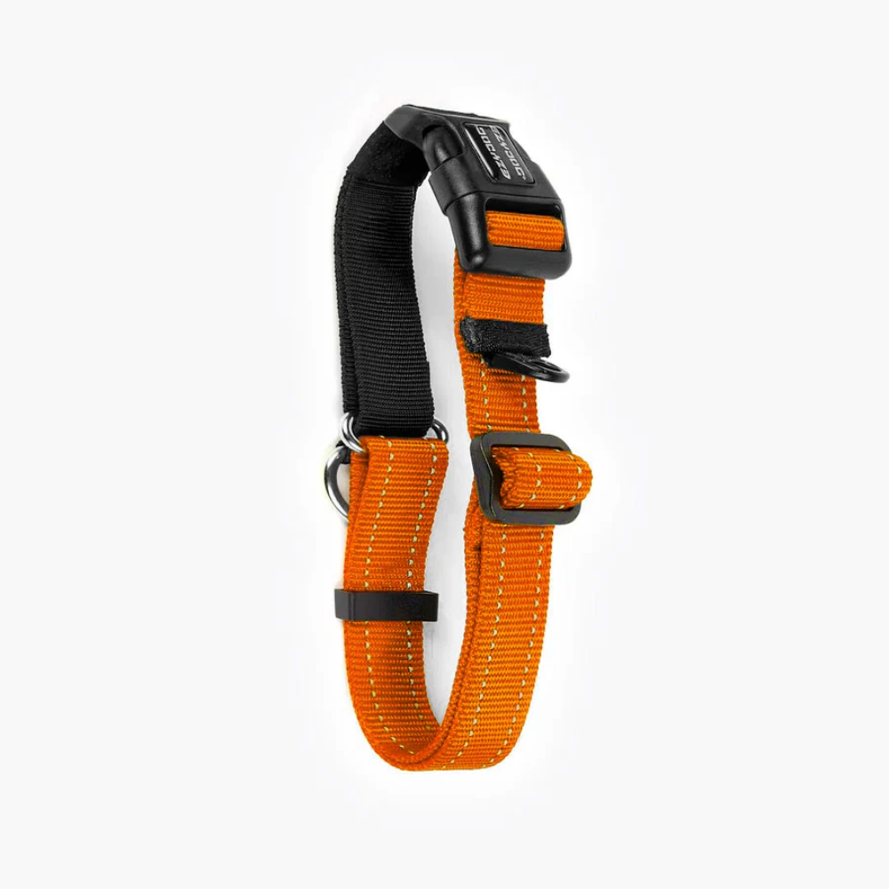 EzyDog COLLAR CHECKMATE M ORANGE