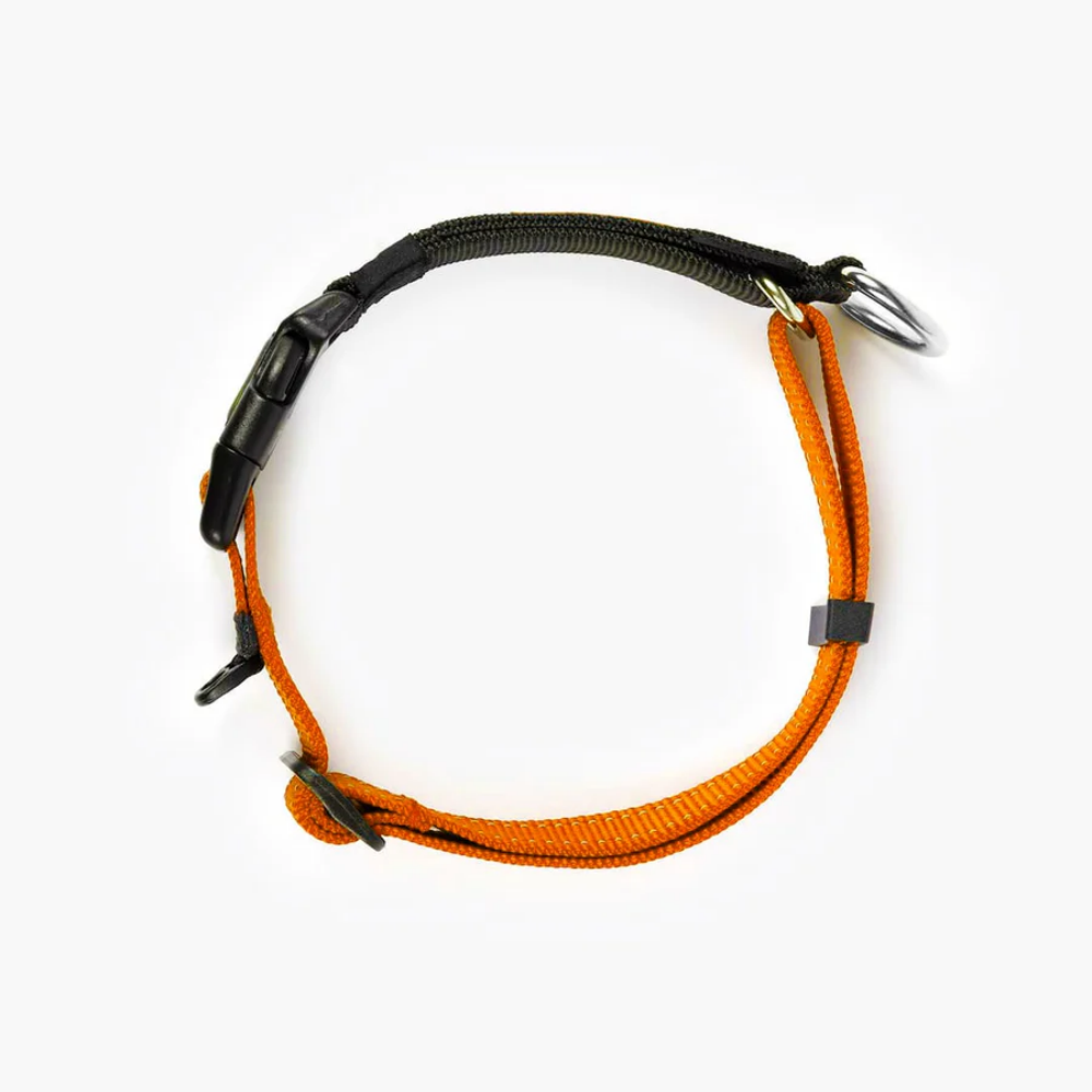 EzyDog COLLAR CHECKMATE M ORANGE