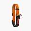 EzyDog COLLAR CHECKMATE XL ORANGE
