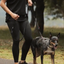 Ezydog 05574 Crosscheck Training Black M