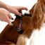 Ezydog 05574 Crosscheck Training Black M