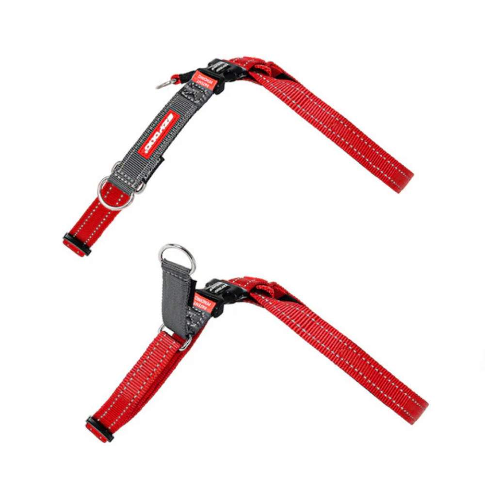 Ezydog 05611 Crosscheck Training Red S