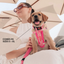 Ezydog 25061 Collor Double Up L Blue