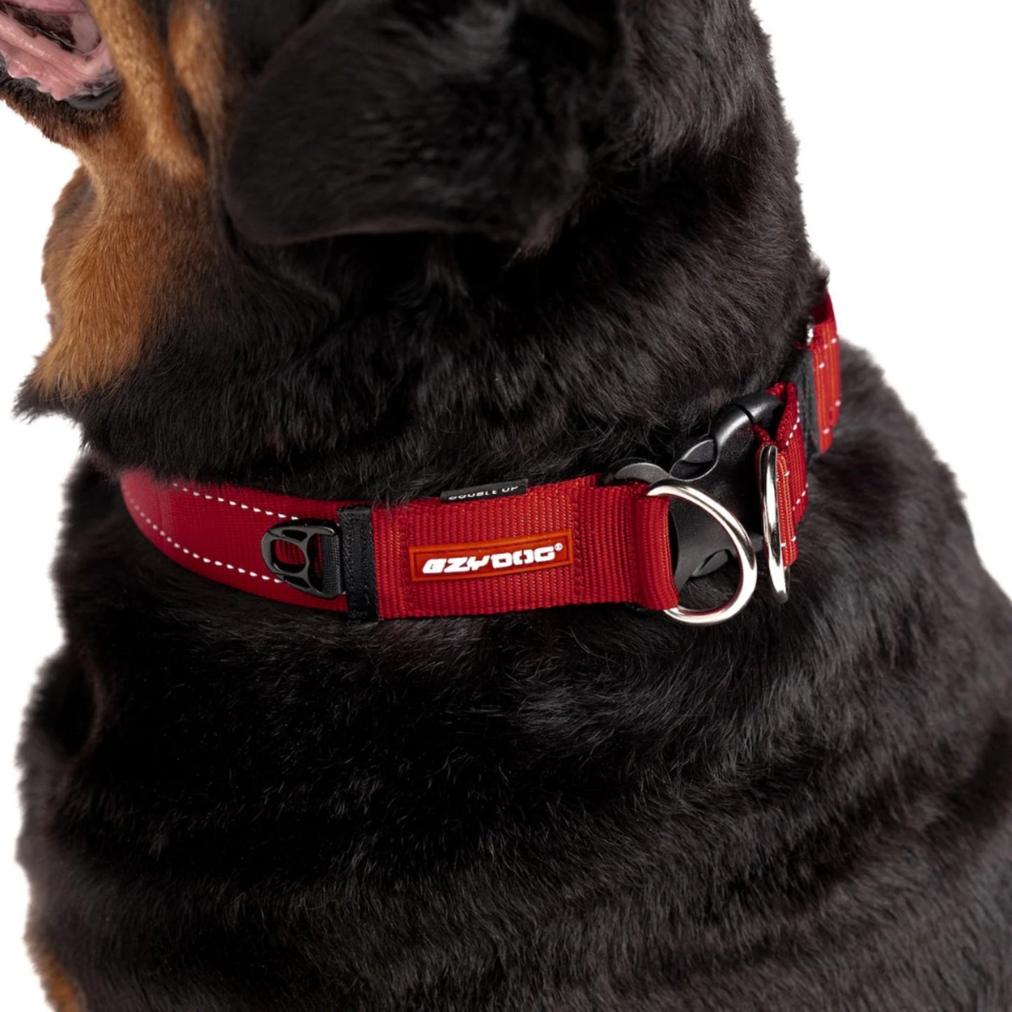 Ezydog 04812Ezy Dog Double Up Collar Denım M