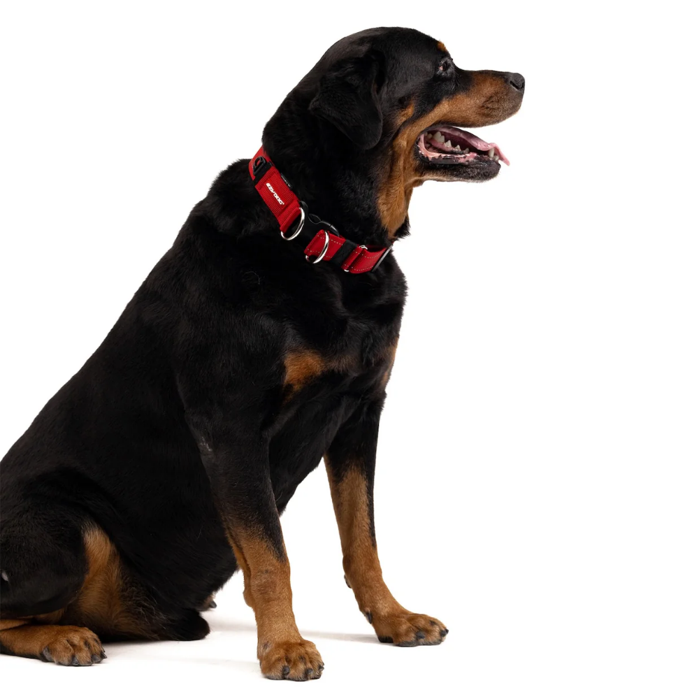 Ezydog 22046 Collor Double Up S Black