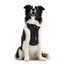 Ezydog Ezy Drive Harnes M Black