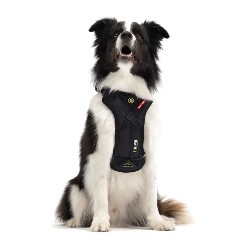Ezydog Ezy Drive Harnes S Black