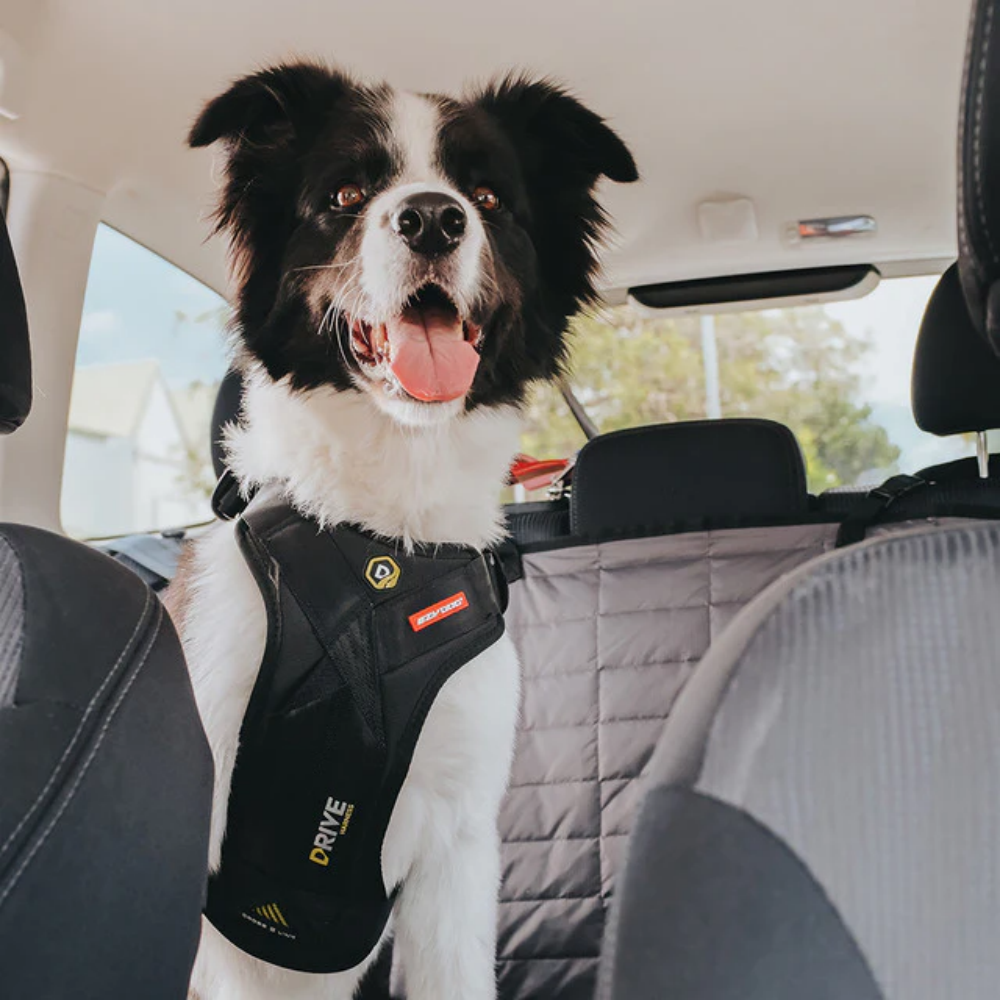Ezydog Ezy Drive Harnes S Black
