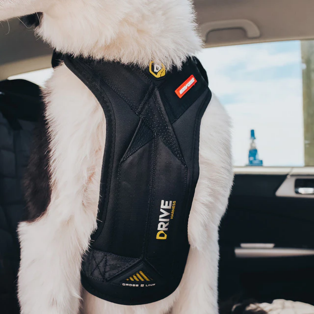 Ezydog Ezy Drive Harnes S Black