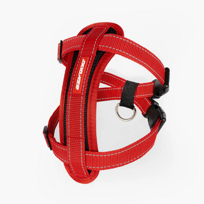 EzyDog Harnes Chest Plate XL Red