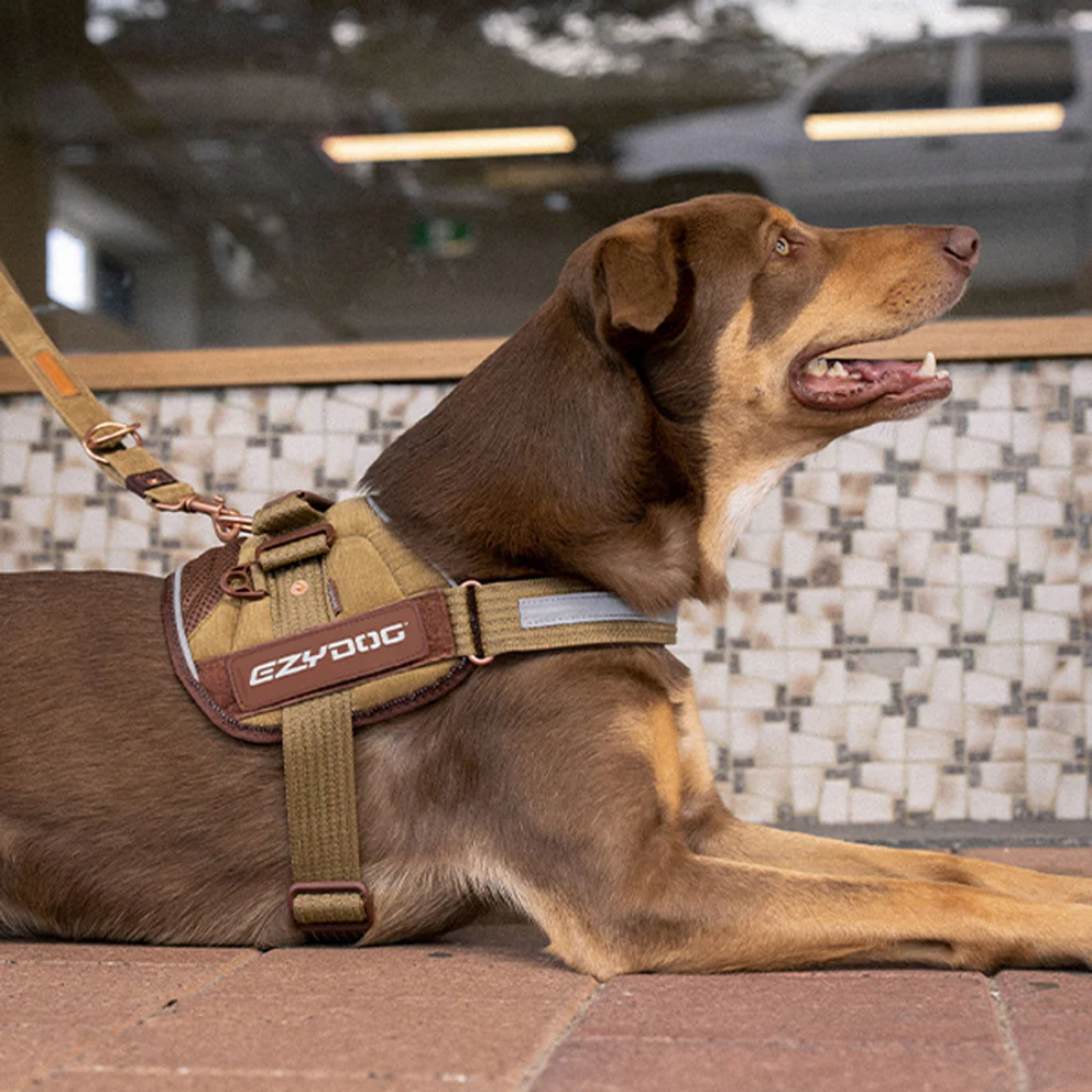 EzyDog Convert Harnes Cv S Gold