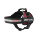 Ezydog 44036 Convert Harnes Cv Xs Red
