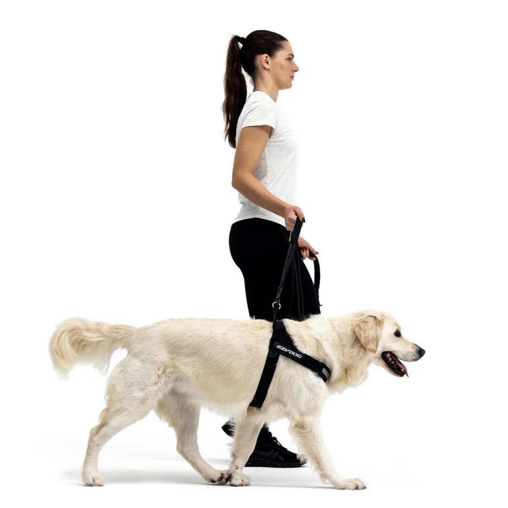 Ezydog 04621 Harness Express Black L