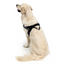 Ezydog 04652 Harness Express Red L