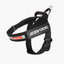 Ezydog 04546 Harness Express Black S