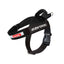 Ezydog 04546 Harness Express Black S