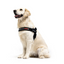 Ezydog 04577 Harness Express Red S