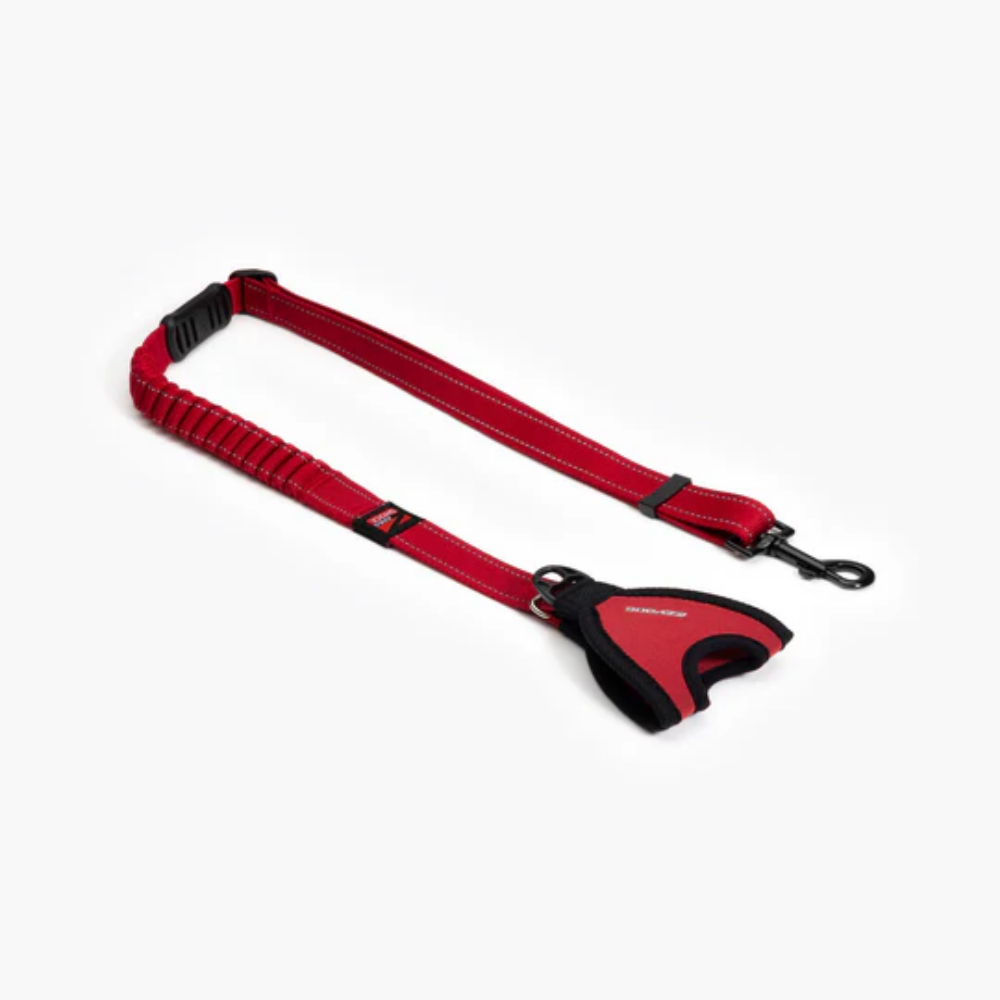 EzyDog Leashes Handy Leash Carabiner Red