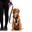 EzyDog Leashes Handy Leash Carabiner Red