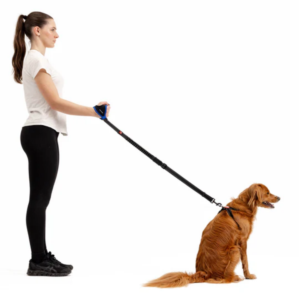 EzyDog Leashes Handy Leash Carabiner Red