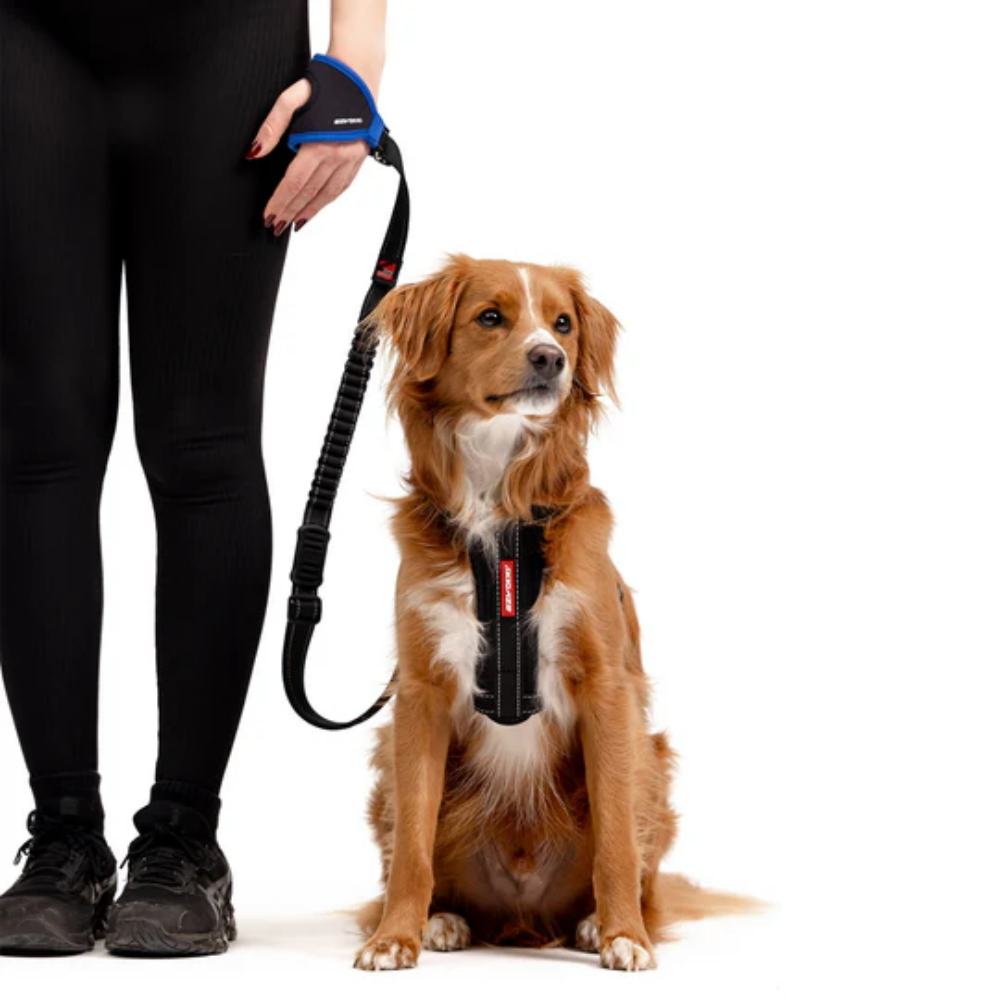 Ezydog Leash Handy Leash Red 120cm
