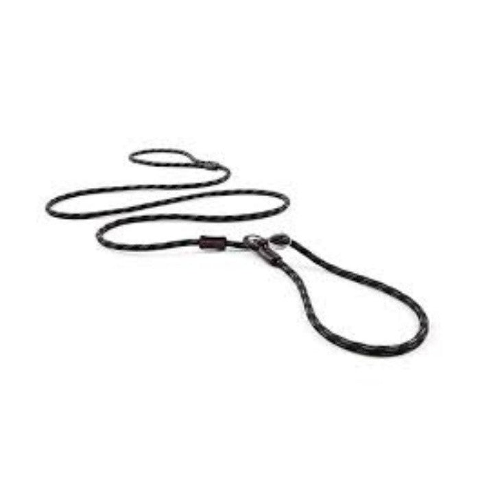 EzyDog Luca 67" Black 170cm