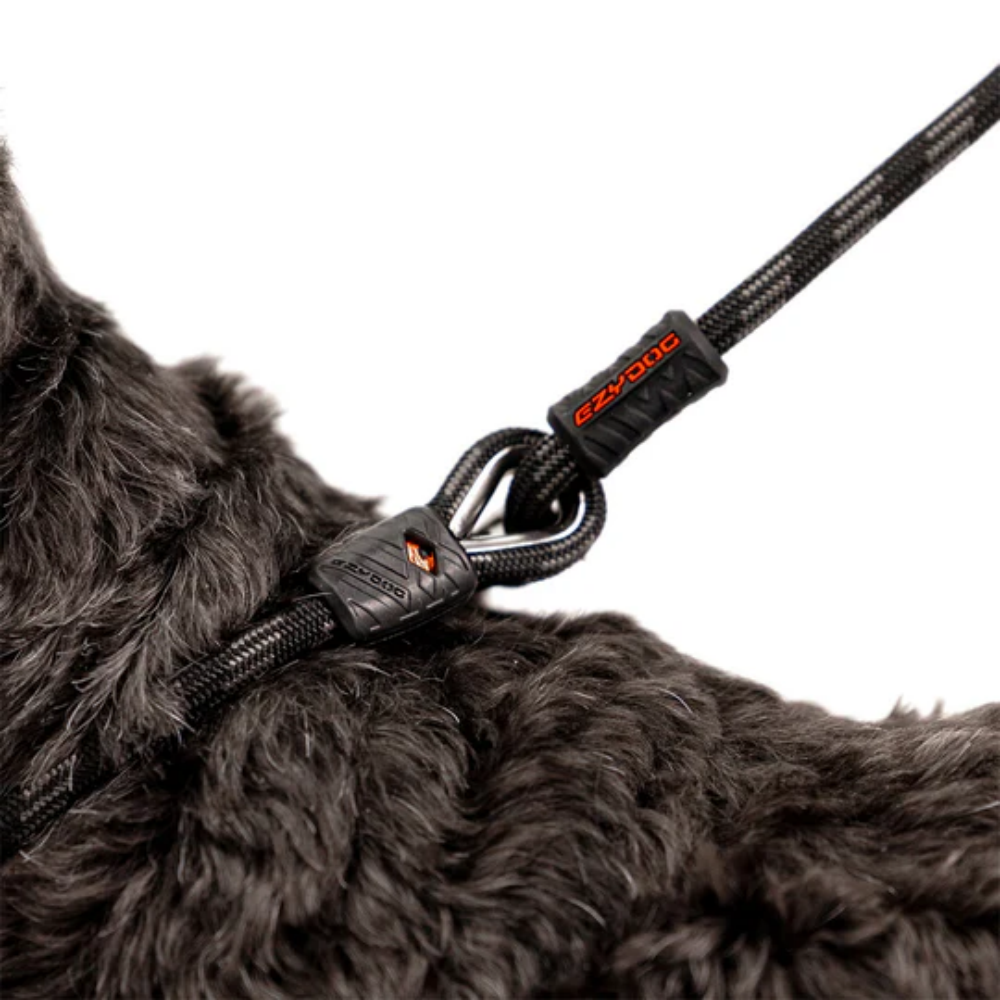 EzyDog Luca 67" Black 170cm