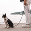 EzyDog Luca 67" Black 170cm