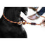 Ezydog 03426 Luca 67" Red 170 Cm