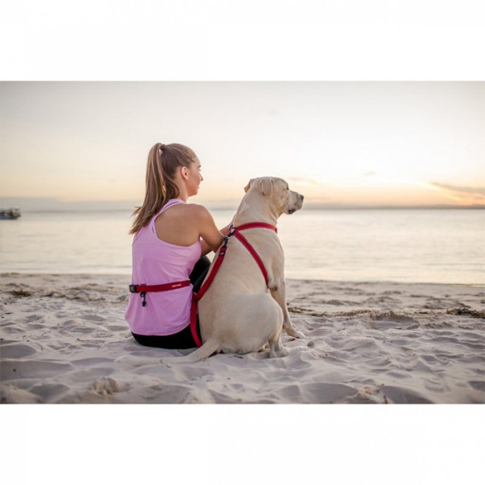 Ezydog 01729 Leashes Road Runner/Zero Shock