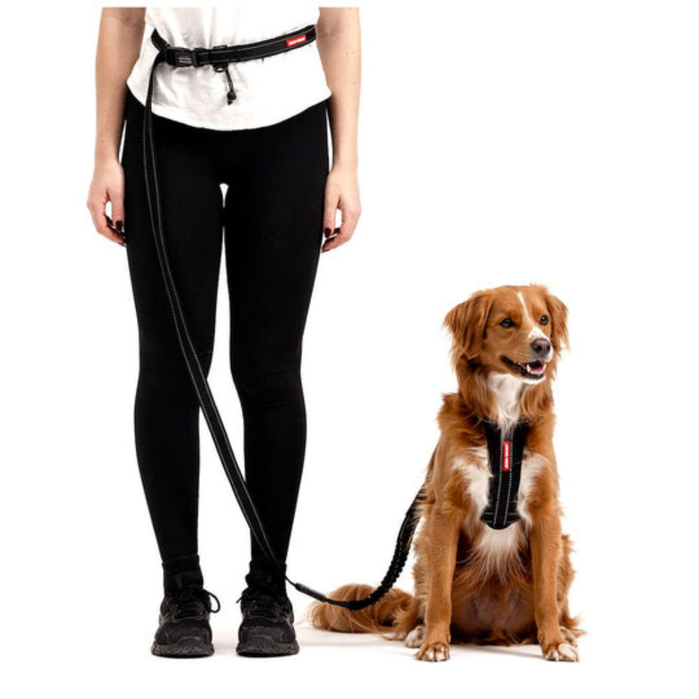 EzyDog 01354 Leashes Road Runner/Zero Shock