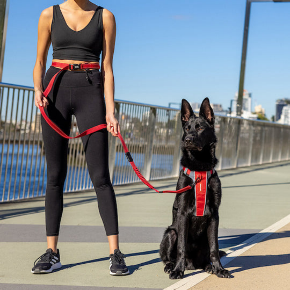 EzyDog 01354 Leashes Road Runner/Zero Shock