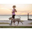 EzyDog 01354 Leashes Road Runner/Zero Shock