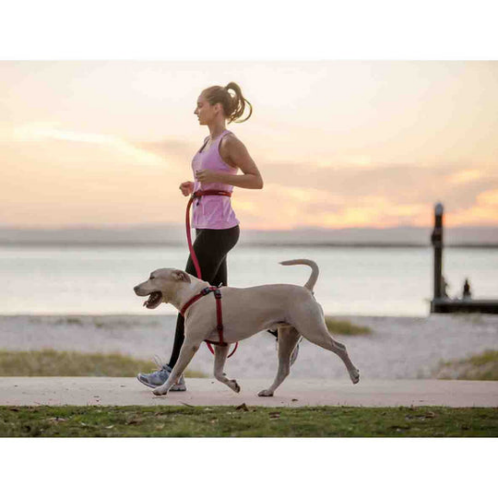 EzyDog 01354 Leashes Road Runner/Zero Shock