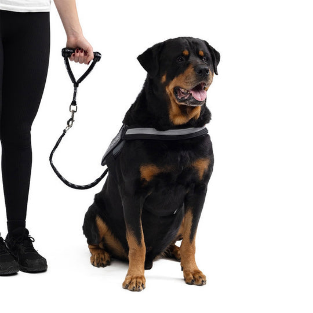 Ezydog 04249 Extensıon Mongrel 24" Red (61Cm)
