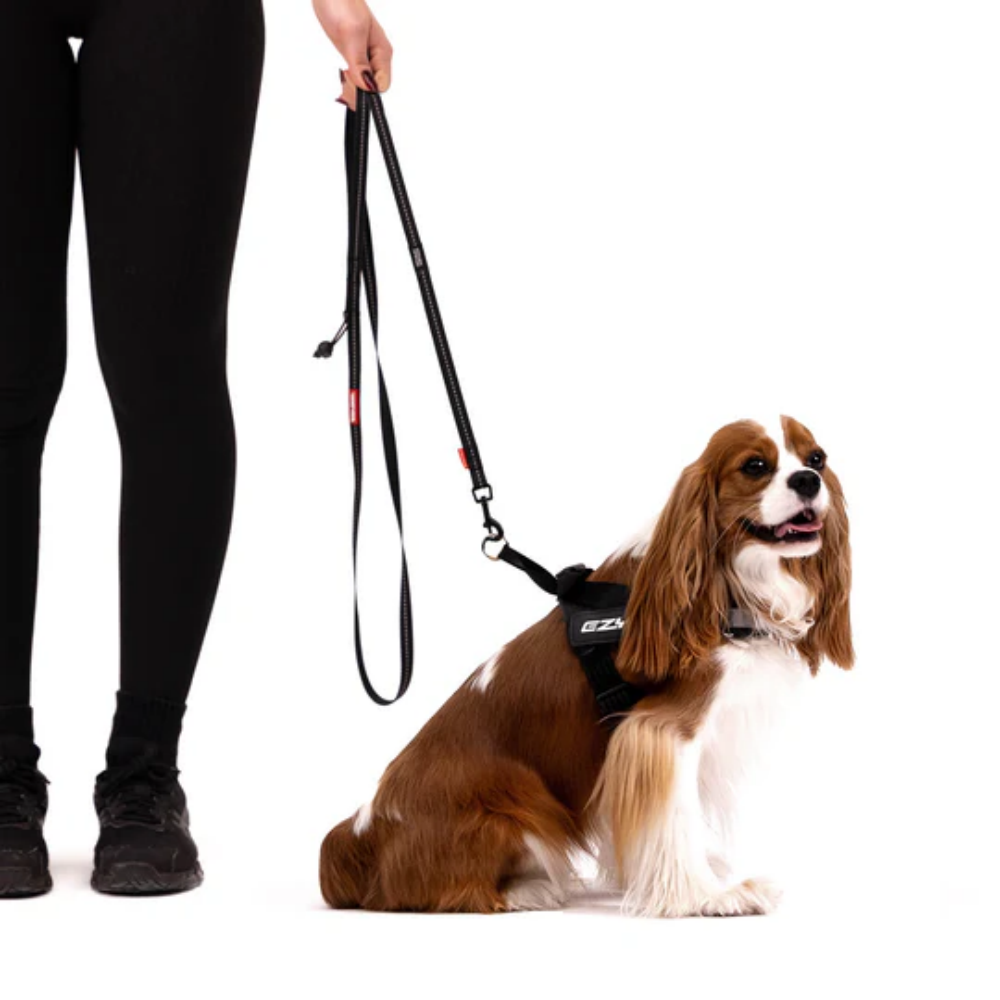 Ezydog 05109 Leashes Trainer Soft Lite Denım