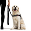 Ezydog 05093 Leashes Trainer Soft 25Mm Denım