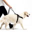 Ezydog 05093 Leashes Trainer Soft 25Mm Denım