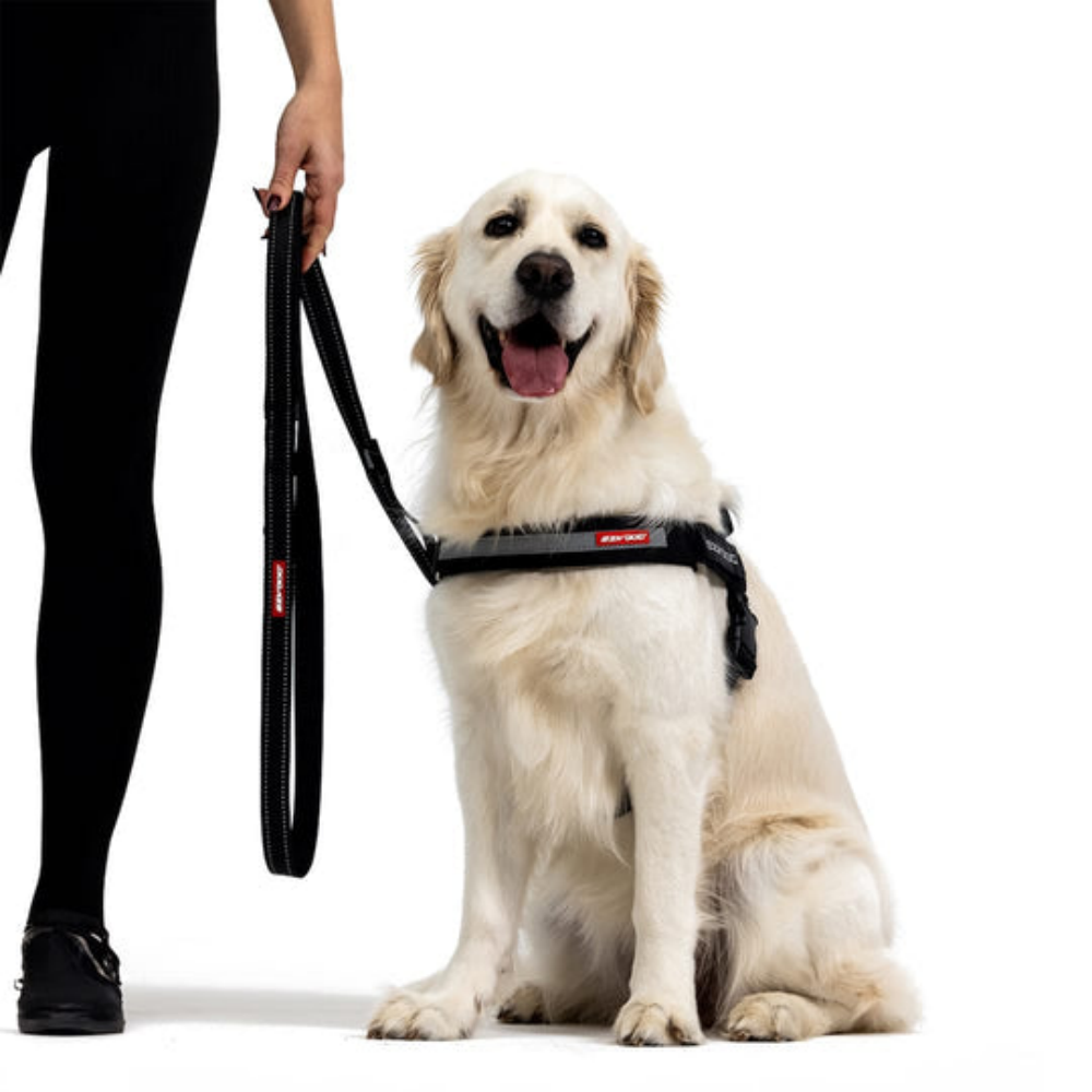 Ezydog 00029 Leashes Trainer Soft 25Mm 181Cm Pınk Camo