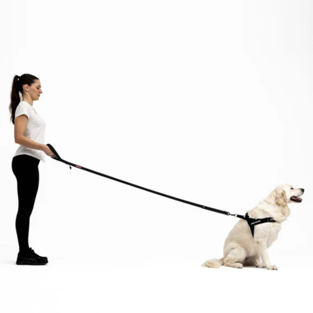 Ezydog 00302 Leashes Trainer Soft 25Mm 181Cm Red
