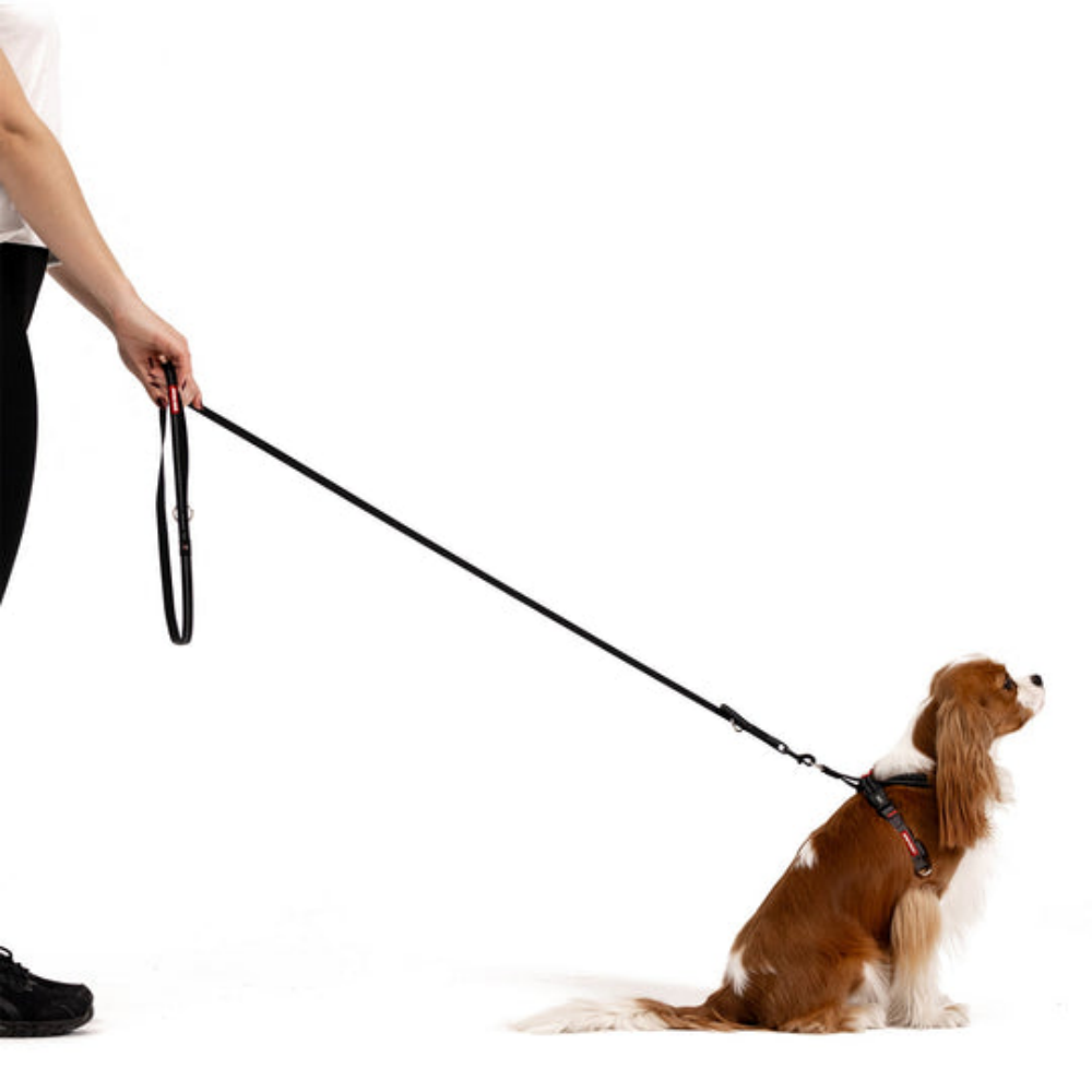 Ezydog 65125 Leash Vario4 Lite 12Mm 6" S Blue (15,25Cm)