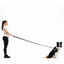 EzyDog 66252 Leas Vario 4 25Mm 6 Orange (180 Cm)Snapcl