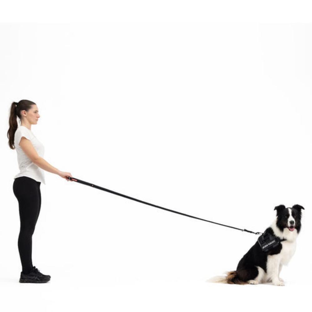 EzyDog 66252 Leas Vario 4 25Mm 6 Orange (180 Cm)Snapcl