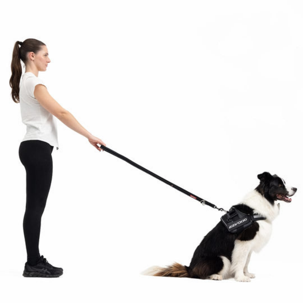 EzyDog 66252 Leas Vario 4 25Mm 6 Orange (180 Cm)Snapcl