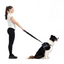 EzyDog 66252 Leas Vario 4 25Mm 6 Orange (180 Cm)Snapcl