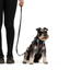 Ezydog 43123 Leash Vario6 Lite 12Mm 8" S Candy (20,5Cm)