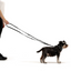 Ezydog 49125 Leash Vario6 Lite 12Mm 8" S Chocolate 20,5Cm